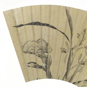 Orchids, Fungus and Rock (detail)